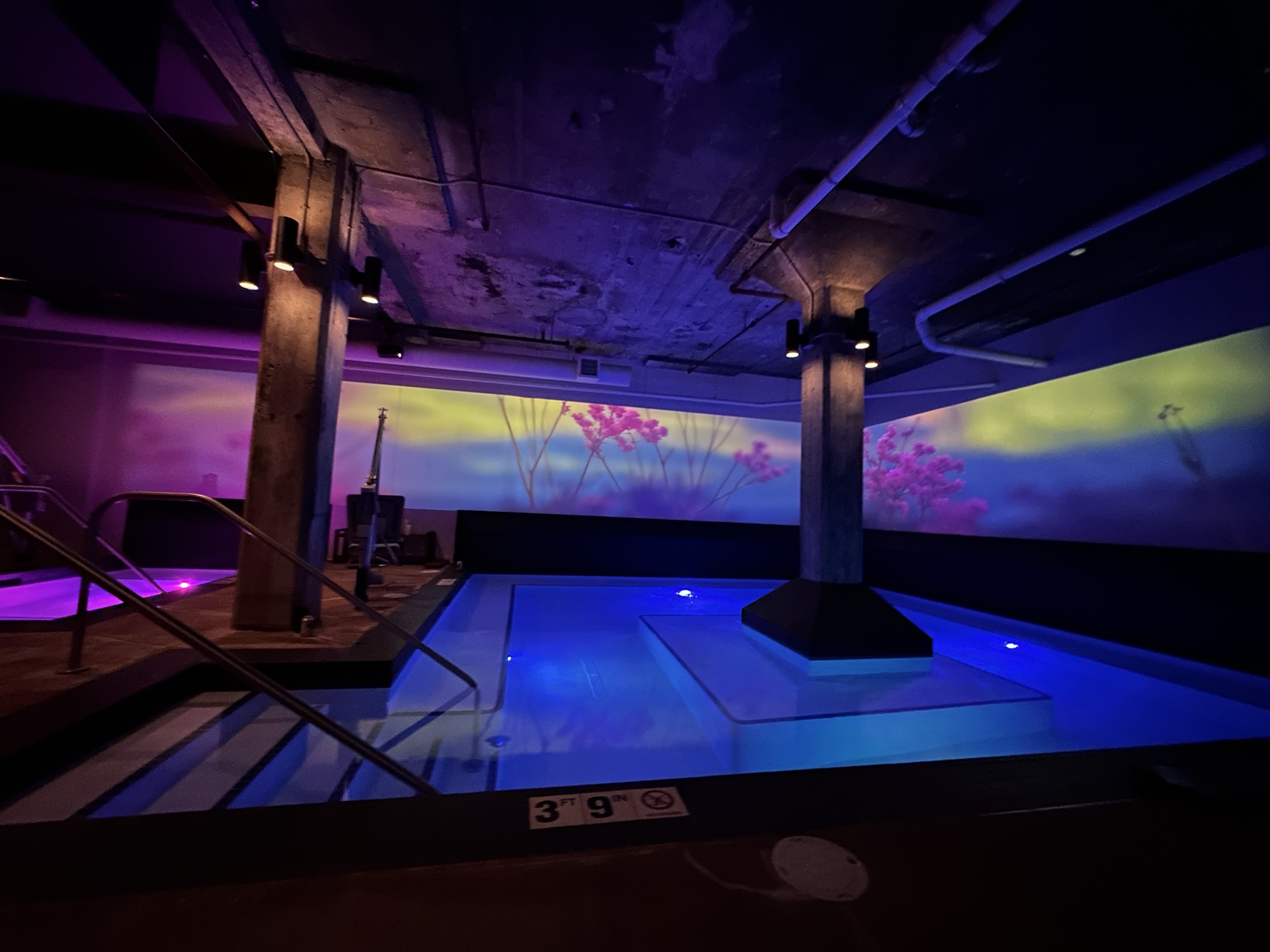 Botanical projection at Watershed Spa